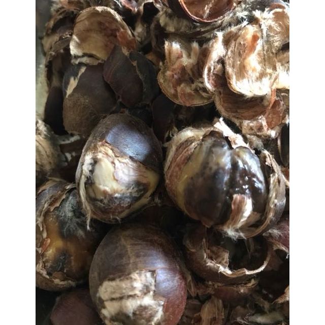 > 【罗田馆】 罗田板栗 3斤 新鲜水果 产地直发 【中华特色馆】商品