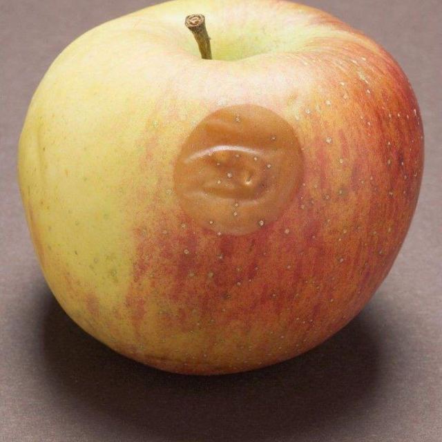 5斤 新鲜水果商品评价 > 苹果很好,第二次购买.