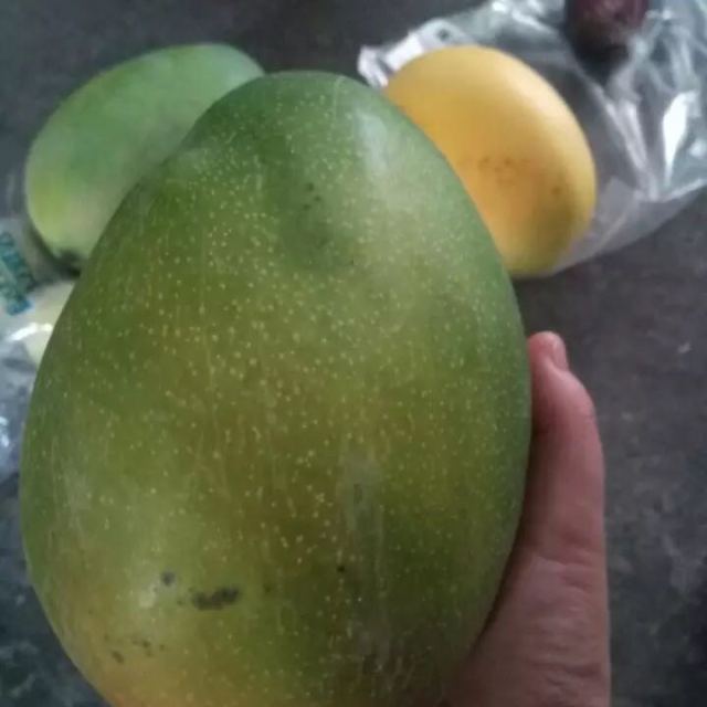 苏宁生鲜四川攀枝花青芒果1个750g以上个新鲜水果
