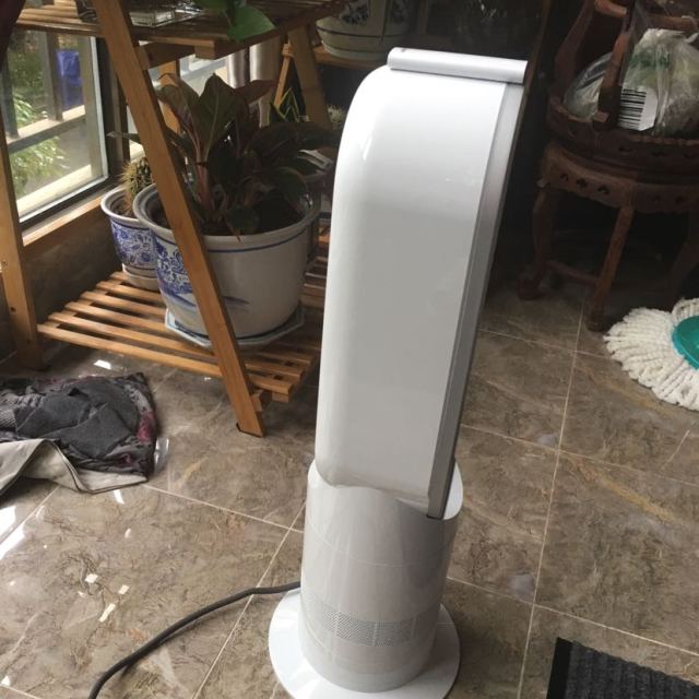 戴森(dyson) am09 取暖器电暖器无叶 风扇(白/银色) 原装进口 可遥控