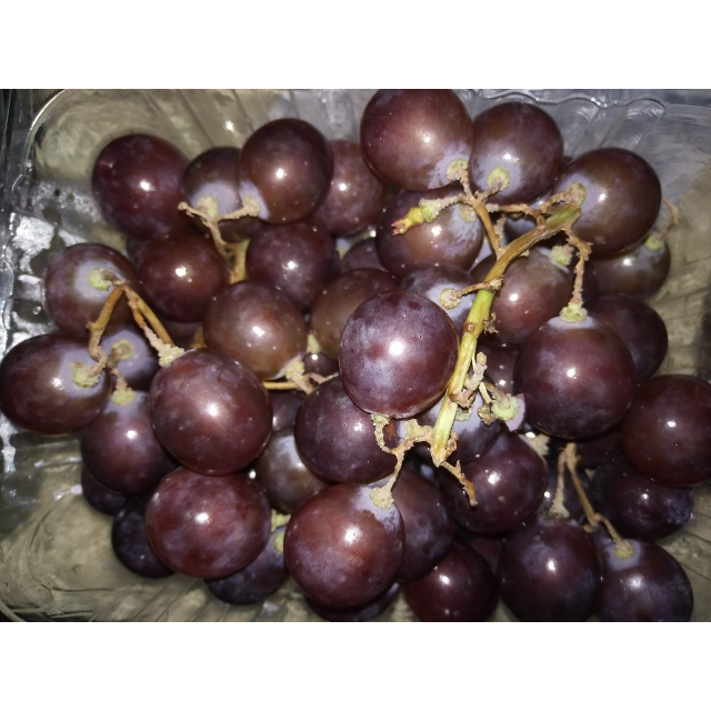 阿***歌2017-10-07 这次的红提有点像葡萄,不是很新鲜,但没坏的,吃