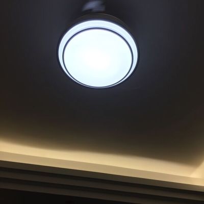 >领王隐形吊扇灯 餐厅吊灯客厅灯.商品评价