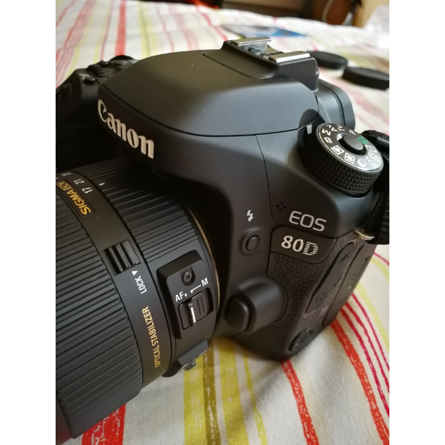 > 佳能(canon) eos 80d 单反机身 单反相机商品评价 > 高效率工作