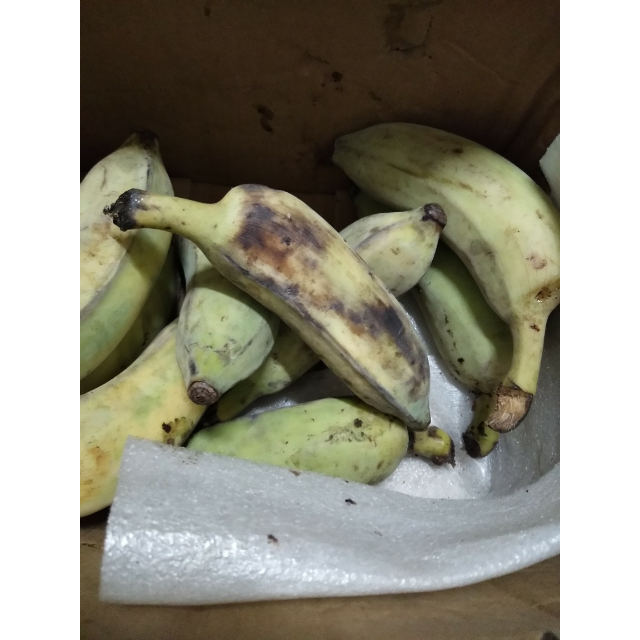 册亨香蕉热带水果香糯小米蕉3斤装商品评价 > 太失望了,都坏了