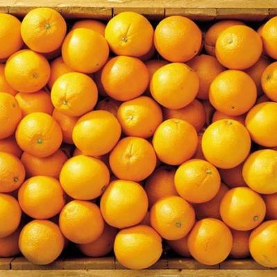 【果郡王】澳大利亚脐橙10个装 澳橙新奇士脐橙子 新鲜水果