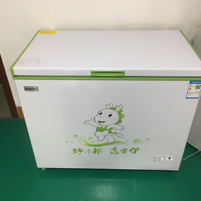 索伊soyeabcbd216216l双门小型冰柜家用卧式单温冷藏冷冻柜商用冰柜
