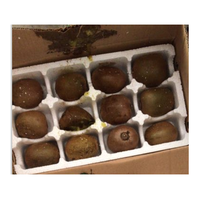 【中华特色】渭南馆 陕西眉县徐香绿心猕猴桃奇异果 单果约80-100g 24