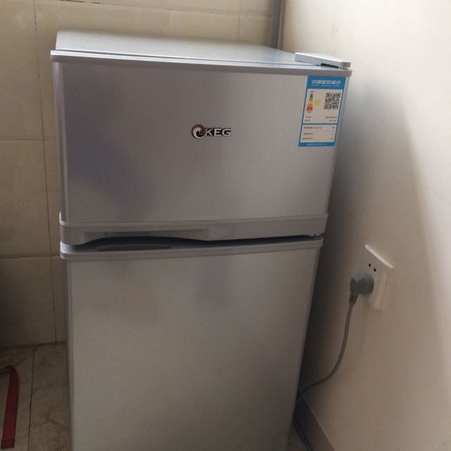 韩电(keg) bcd-101gm 101升节能迷你两门小冰箱 租房宿舍必备 适用1-2