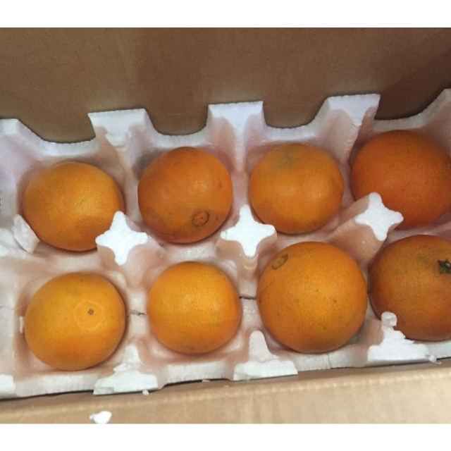 > 【网红果冻橙】四川爱媛38号柑橘5斤 新鲜水果商品评价 > 有烂的