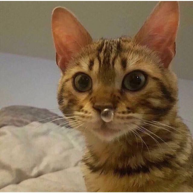 > 立白天然亮白低泡洗衣液3kg*2瓶商品评价 > 很符合和好多好多基地.