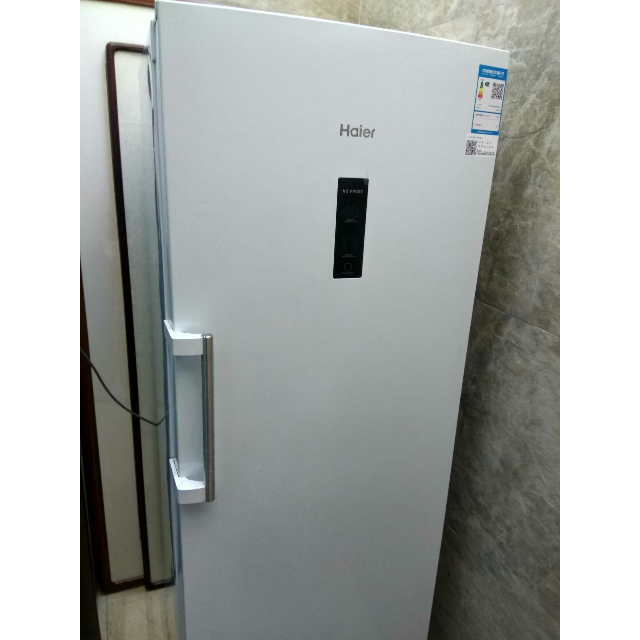 haier海爾bd226w226升家用立式冷櫃全冷凍櫃小型立式風冷無霜電腦控溫