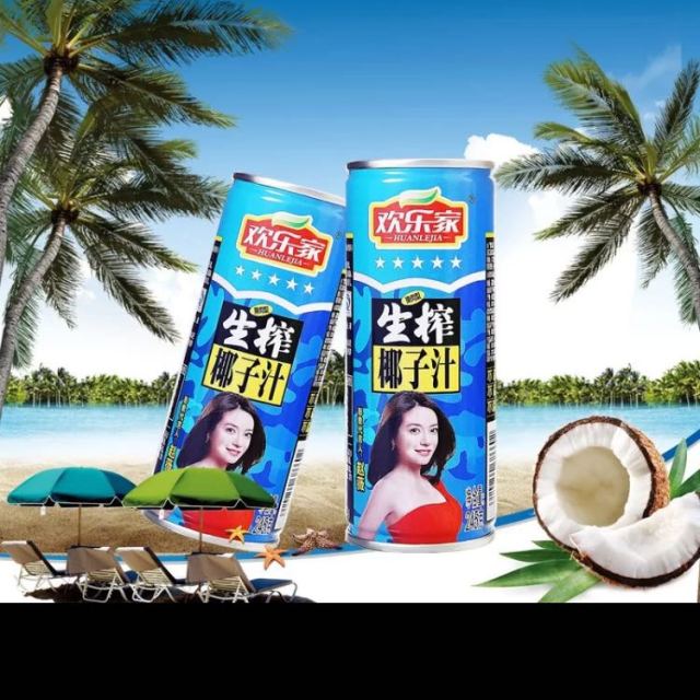 欢乐家生榨椰子汁椰奶含果肉245克12罐