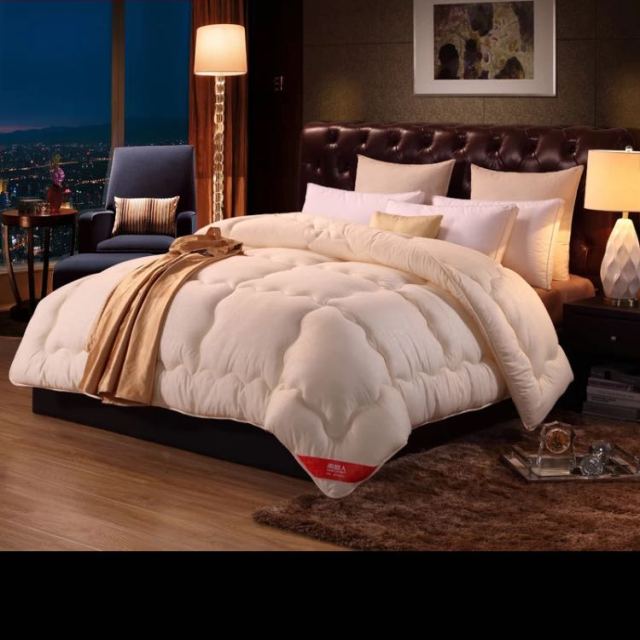 200*230cm/6斤 南极人(nanjiren)加厚冬被 保暖学生冬天被子 单双人被