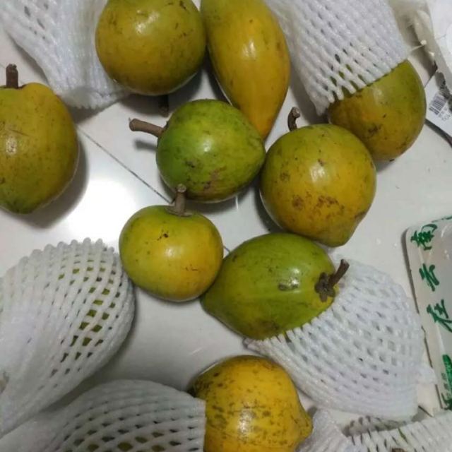 > 热带水果蛋黄果 新鲜鸡蛋果 狮头果 新鲜水果2斤装【中华特色馆】