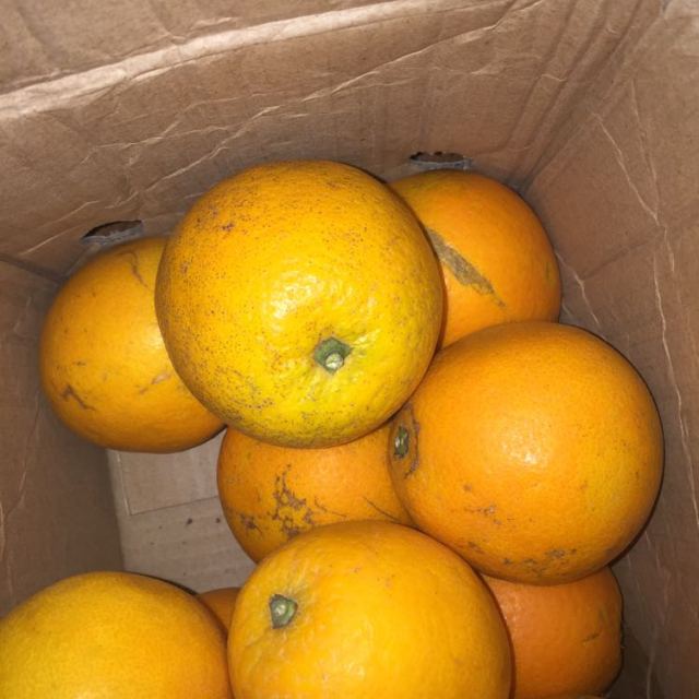 康丰果园赣南脐橙5斤花皮果 果径65-95mm 新鲜采摘水果甜橙子手剥香橙