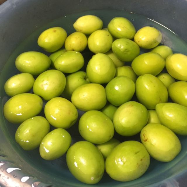 苏宁生鲜云南珍珠枣1kg18g以上个