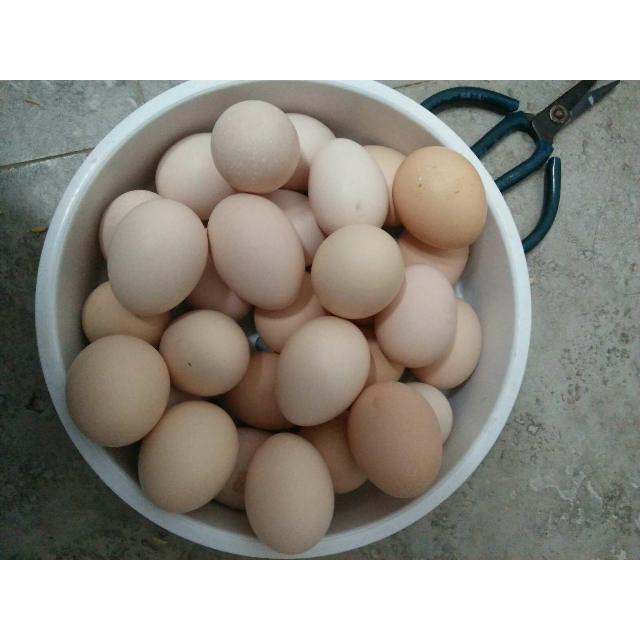 【武汉馆】散养土鸡蛋 30枚装宝宝辅食 正宗农家散