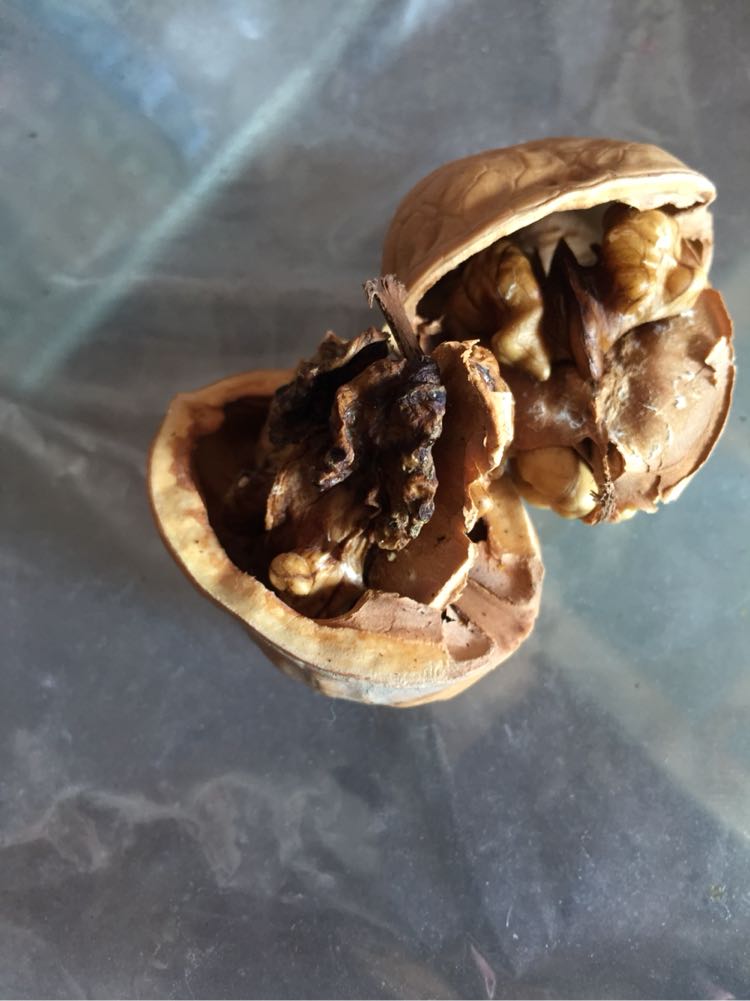 特产原味大核桃