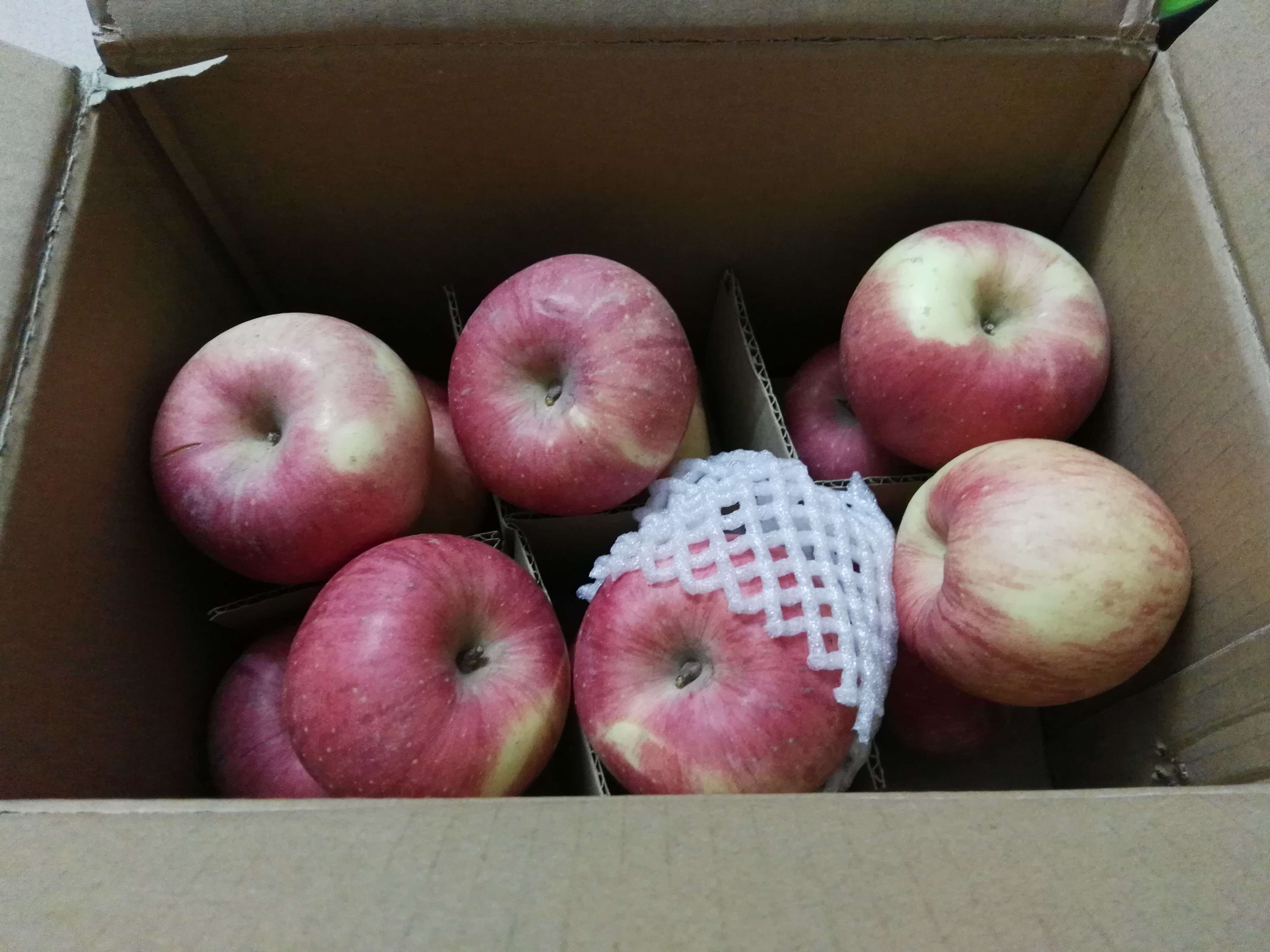 苹果水果红富士陕西