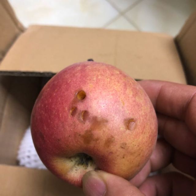 中华特色宝鸡馆新疆阿克苏苹果25斤源头新鲜水果买就送