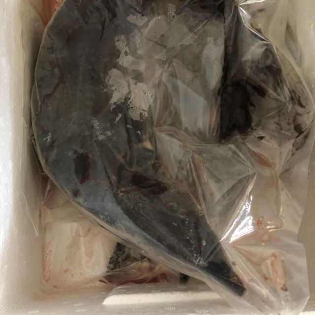 金御丰海鲜 冷冻鲟鱼900g-1000g/条 海鲜水产 鱼评价【怎么样 好不好