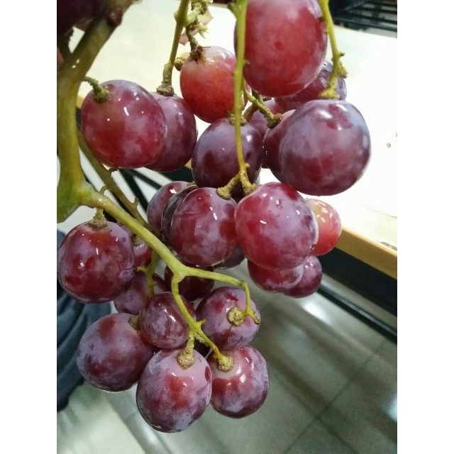 【苏宁生鲜】新疆红提1kg奇异果/猕猴桃提子很不错,质量没问-苏宁易购