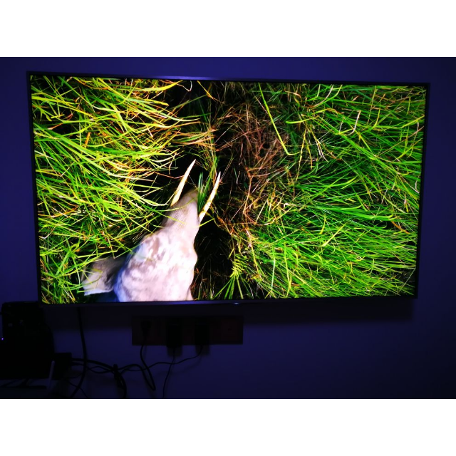 > 索尼(sony)kd-49x9000e 49英寸 4k超高清智能led液晶平板电视商品