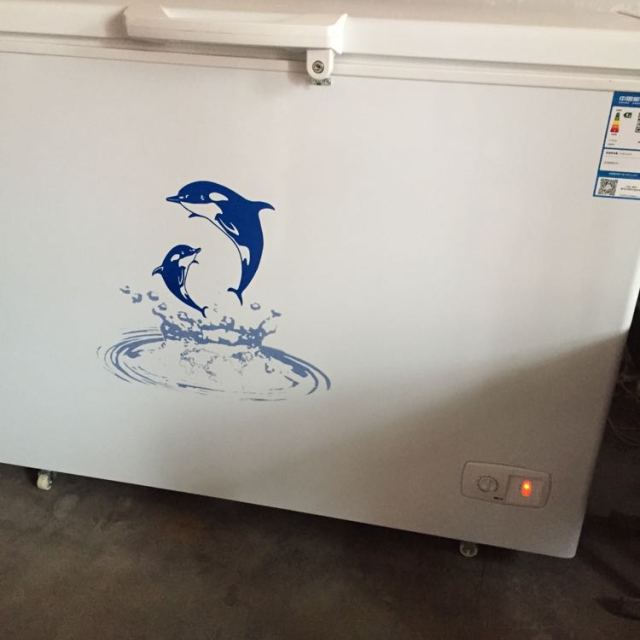 aucma澳柯玛bcbd323sh323升单温卧式商用卧式冷藏冷冻节能断电保温大