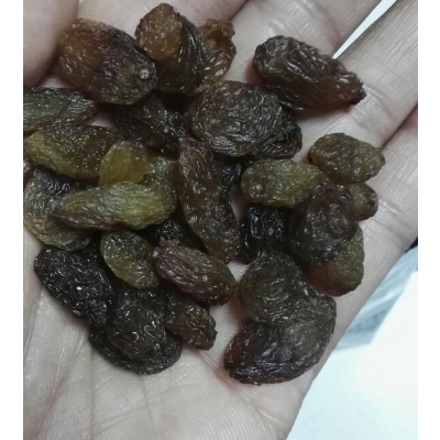 熊猫果缘 四份无核葡萄干 随机发货 720g 袋装 新疆特产 无籽