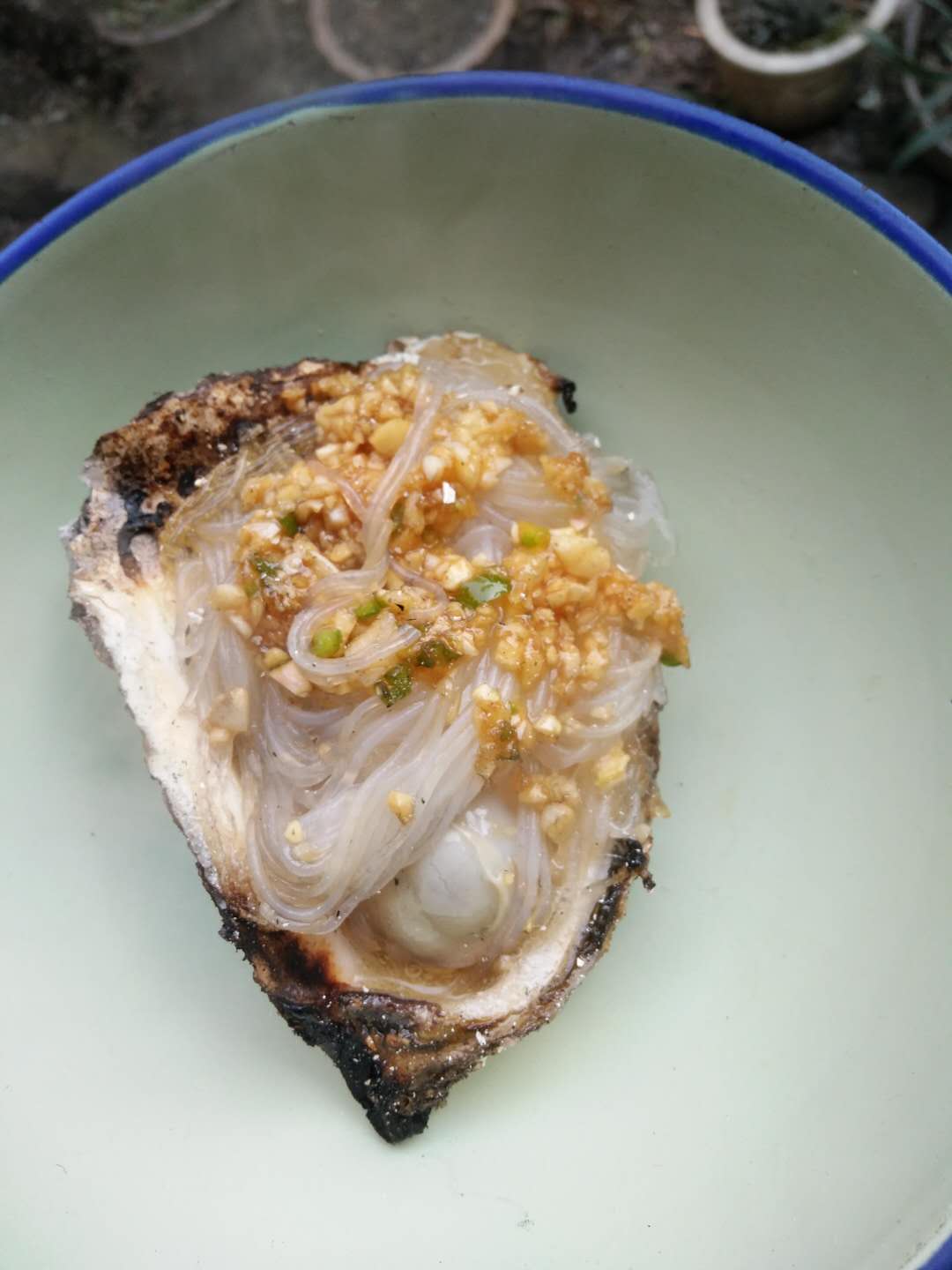 海洋岛 鲜活鲍鱼6只(300g) 生蚝6只(1000g) 约1300g大连海鲜鲜活水产