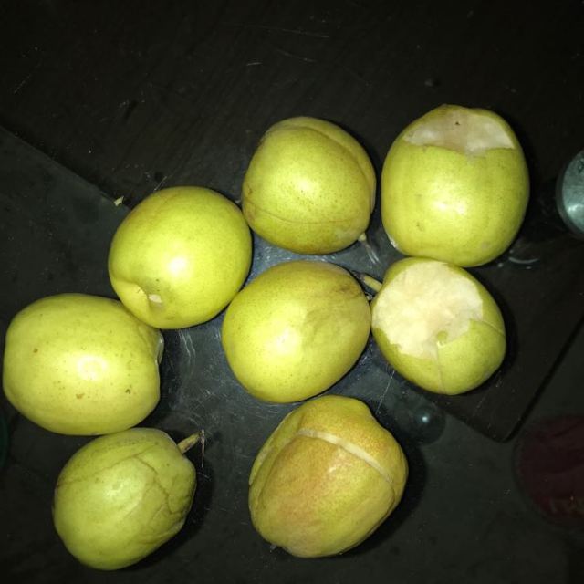 中华特色宝鸡馆库尔勒香梨5斤源头新鲜水果西北