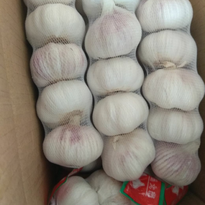 【徐州馆】zlm 保鲜大蒜 大蒜头5斤袋装(250g*10 )徐州邳州特产 新鲜