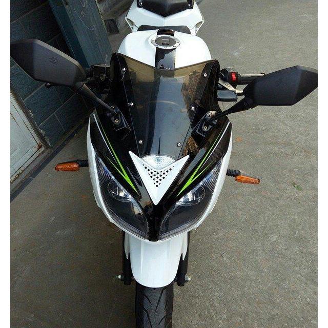 风感觉机车北极光150cc摩托车跑车大型机车地平线助力车公路赛街车