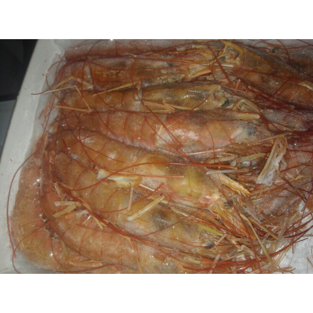 新春好礼 中锦生鲜 阿根廷船冻红虾 l2级大红虾 平均身长17cm左右 2kg