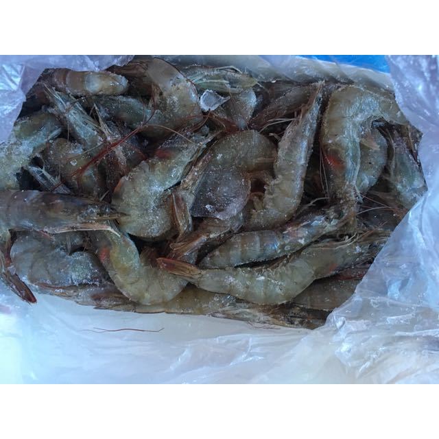 怡鲜来 厄瓜多尔白虾 进口冷冻南美白虾2000g/盒 40/50