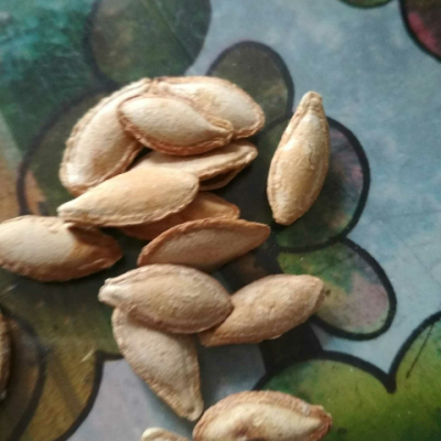 老闫家南瓜子800g克大南瓜籽炒货熟陕北绥德老闫家白瓜子特产怎么样