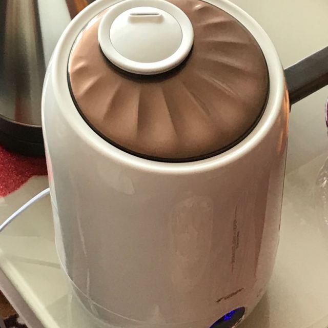 德尔玛(deerma)加湿器 dem-f500 5升大容量 恒湿感温 家用卧室 安静