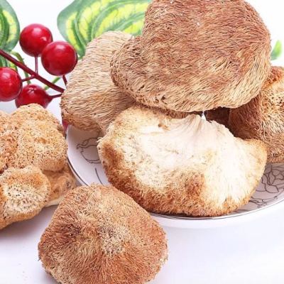 秋林山珍榛蘑东北蘑菇压缩盒装200g小鸡炖蘑菇送礼佳品