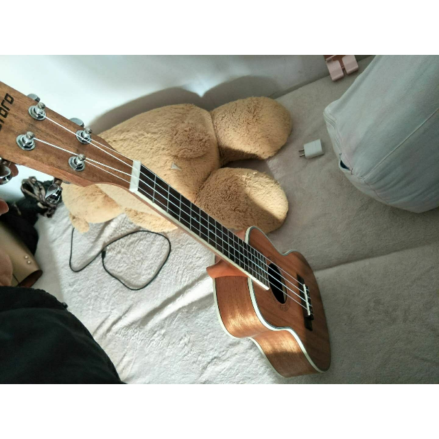 > chard 21寸和弦牌尤克里里 u-21a玫瑰木小吉他660*200*70 totoro-u