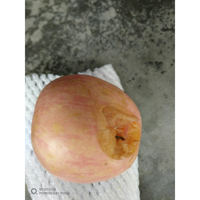 烟台栖霞苹果红富士5斤商品评价 