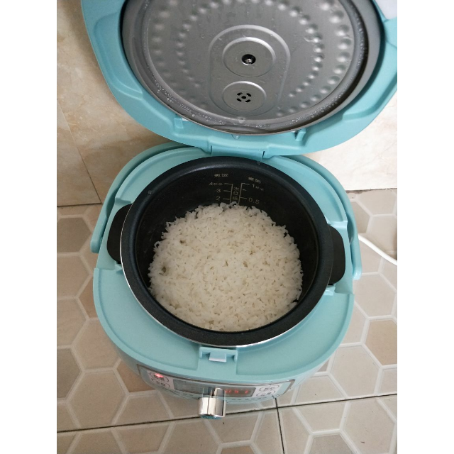 九阳joyoung电饭煲jyf20fs662升土灶原釜智灵旋控智能预约一键开盖