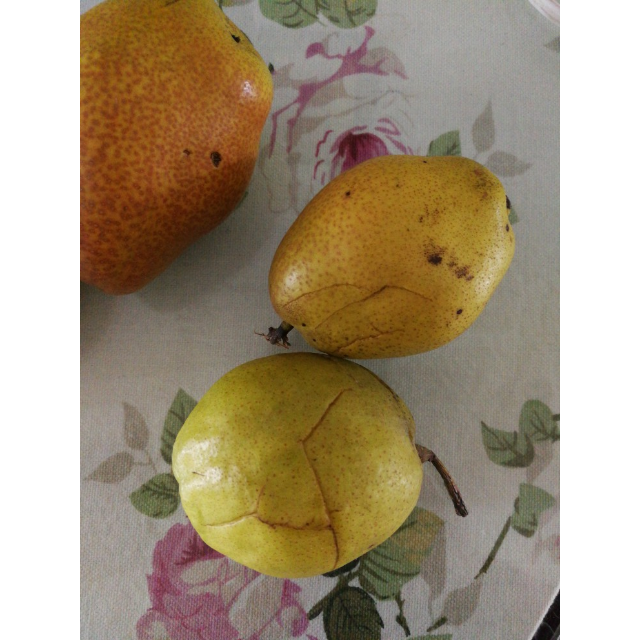 果园汇 库尔勒香梨 正宗新鲜库尔勒香梨 新鲜水果 梨子 皮薄好吃 单果