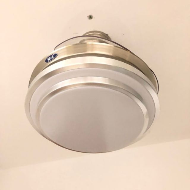 领王隐形吊扇灯风扇灯客厅餐厅卧室家用风扇吊灯简约现代带led的风扇