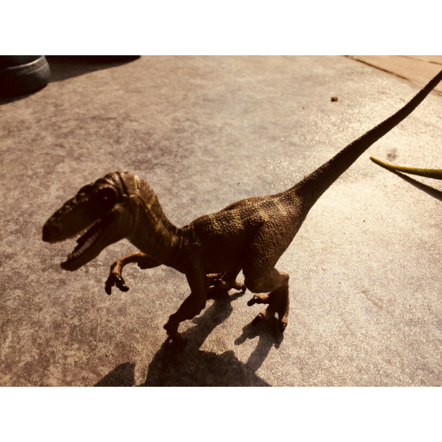 玩模乐儿童仿真恐龙模型玩具 实心动物霸王龙暴龙侏罗纪恐龙玩具 伶盗