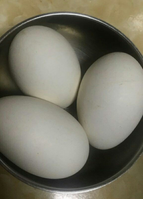 农谣 新鲜土鹅蛋 农家养殖大鹅蛋 正宗散养 12枚装晒单图