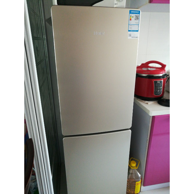 海尔(haier)bcd-190wdpt 190升双门小冰箱 风冷无霜 炫彩金外观 节能