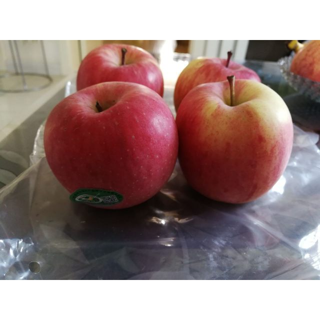 > 【苏宁生鲜】甘肃静宁富士苹果4个200g以上/个 新鲜水果商品评价 >