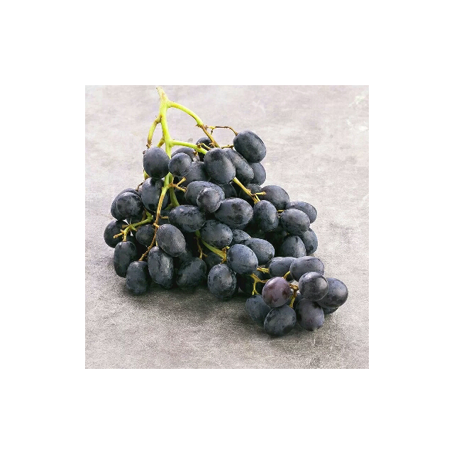 苏宁生鲜智利无籽黑提500g