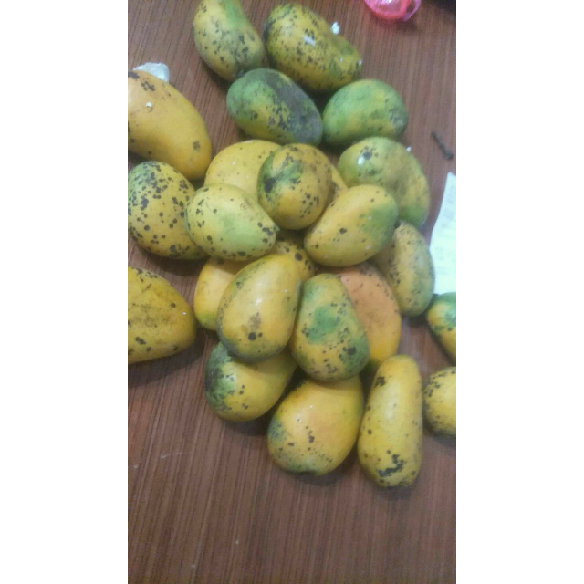 海南小台农芒果 5斤 台芒果 热带水果三亚特产新鲜 bl 小芒果评价