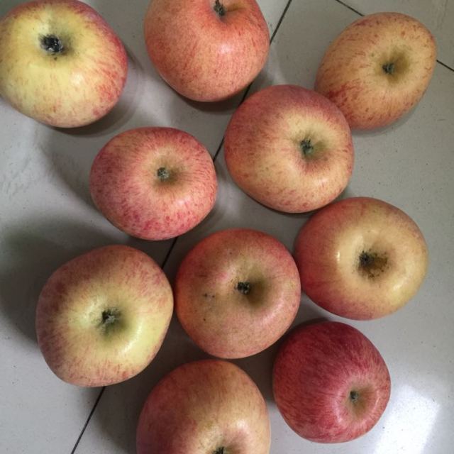 > 烟台红富士 80mm以上 5斤装 11-12个 新鲜水果 烟台苹果 新鲜水果